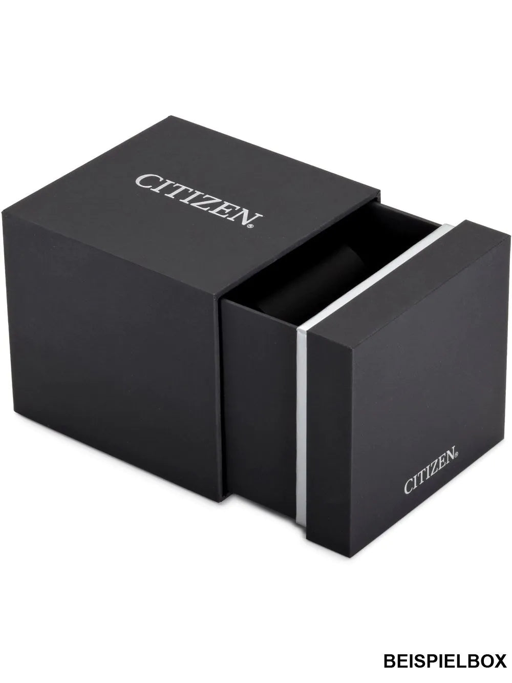 Citizen Sport Men's Watch